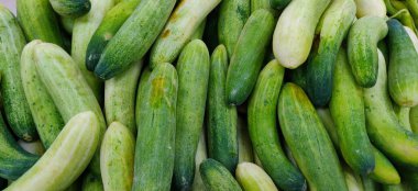 Piyasada taze yeşil salatalıklar