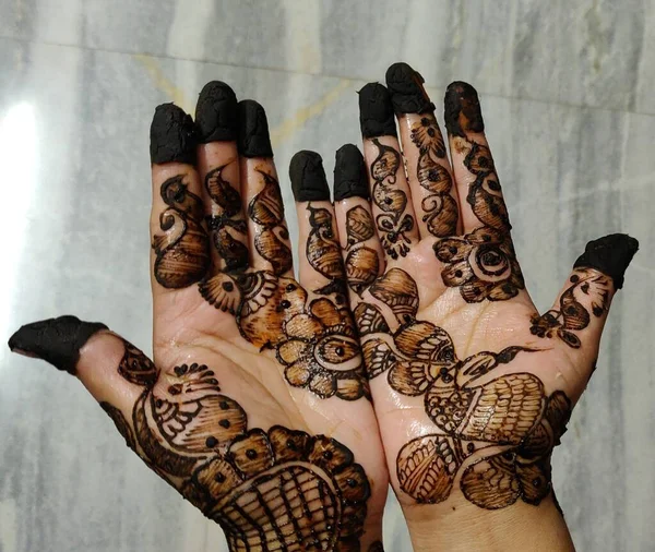 Woman Hand Drawing Pair Beautiful African American Silk Henna Hands — Photo