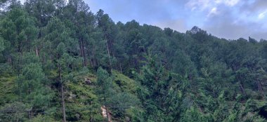 Dağ vadisinin doğal güzelliği, Nainital Göller Şehri.