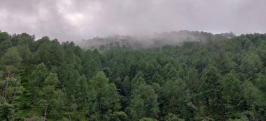 Kainchi Dham 'ın doğal güzelliği, Nainital 