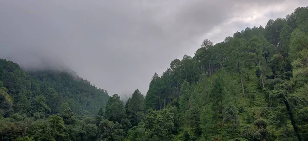 Naturlig Skønhed Bjergdalen Nainital City Lakes - Stock-foto