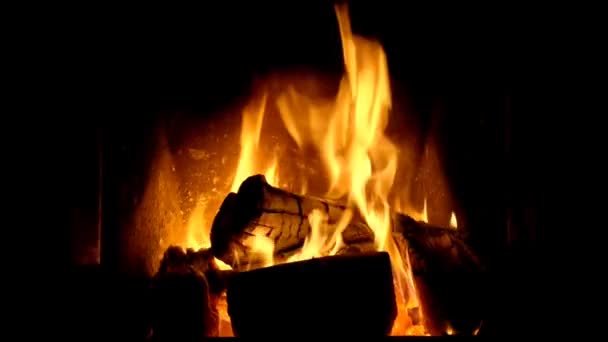 Zbliżenie Płomienie Ognia Nocne Ognisko Płoną Kłody Iskry Latają Pror — Wideo stockowe