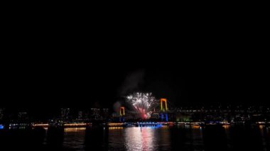 4 Temmuz, Noel ve Yeni Yıl gibi özel günlerde gece gökyüzünü aydınlatan göz kamaştırıcı havai fişek gösterisini tecrübe edin. Bu yüksek çözünürlüklü video canlı renk ve desenleri yakalar.
