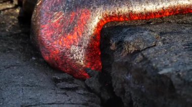 Hawaii Volkanik Parkı 'ndaki Lavın Yakın Görüntüsü