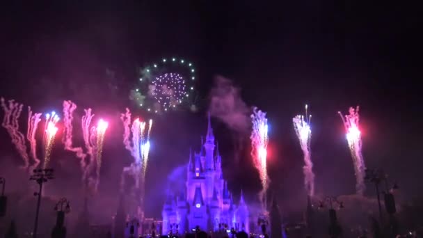 Disneyland Havai Fişek Kutlamaları Yeni Yıl Noel Vesilesiyle — Stok video