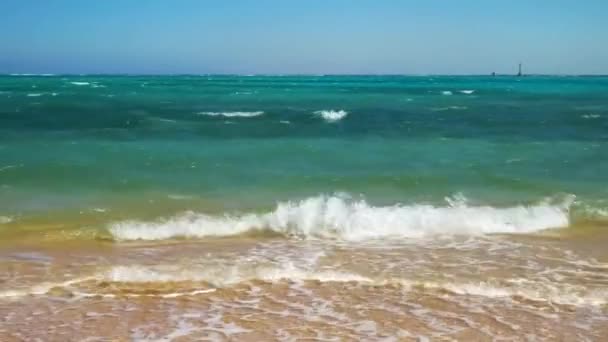 Océan Vue Paisible Avec Vagues Ondulantes — Video