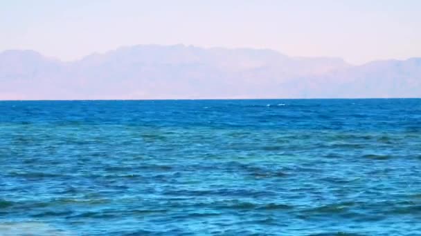 Lautan Damai Tampilan Dengan Gelombang Bergulir — Stok Video