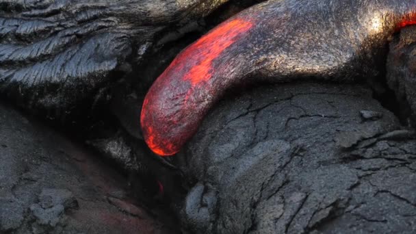 Vista Cerca Lava Parque Nacional Volcanes Hawai — Vídeos de Stock