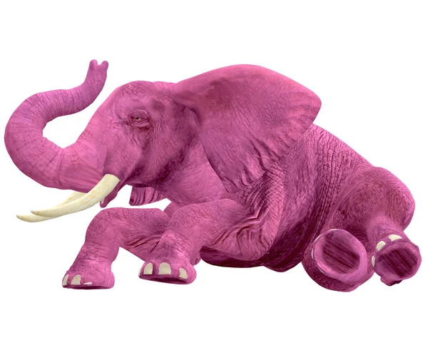 Pink Elephant Drunk Can Stand — Stock Photo, Image