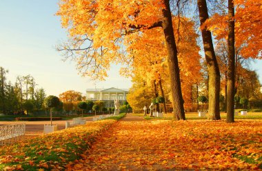 Sonbahar sabahı ve Tsarskoe Selo 'daki Catherine Park' ta yürüyüş.