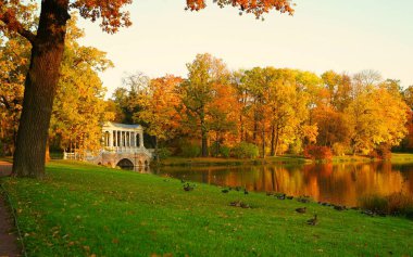 Sonbahar sabahı ve Tsarskoe Selo 'daki Catherine Park' ta yürüyüş, Mermer köprü.