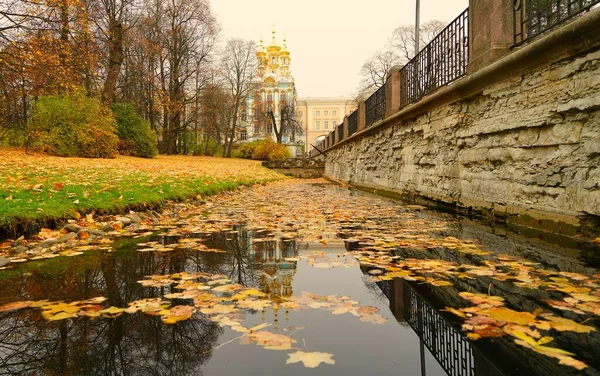 Jesienny Poranek Spacer Parku Katarzyny Carskim Selo Skrzydło Kościoła Pałacu — Zdjęcie stockowe