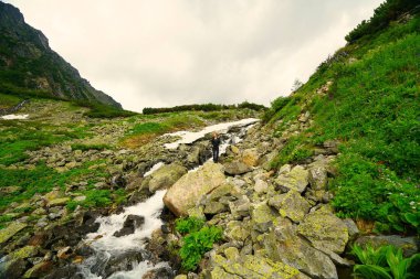 Buryatia 'da büyüleyici yaz yürüyüşü, çiçekler vadisi.
