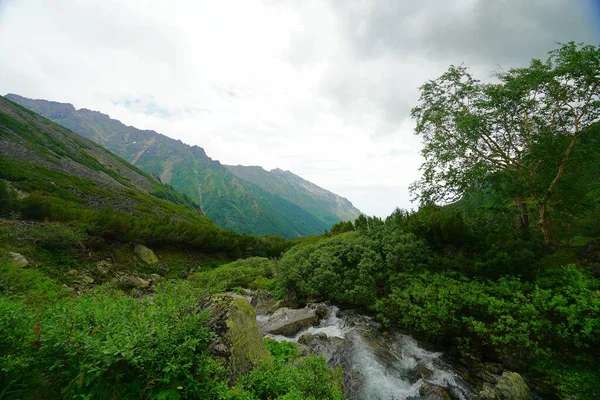 Faszinierende Sommerwanderung Burjatien Gebirgsfluss Tal Der Blumen — Stockfoto