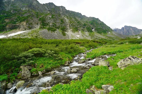 Randonnée Estivale Fascinante Bouriatie Rivière Montagne Dans Vallée Des Fleurs — Photo