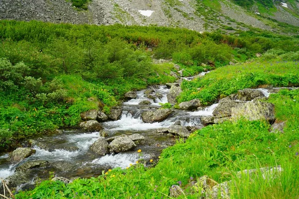 Fascinante Caminhada Verão Buryatia Rio Montanha Vale Das Flores — Fotografia de Stock