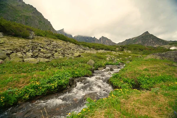 Захоплива Літня Подорож Бурятії Гірська Річка Долині Квітів — стокове фото