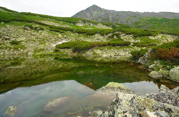 Fascinante Caminhada Verão Buryatia Lago Montanha — Fotografia de Stock