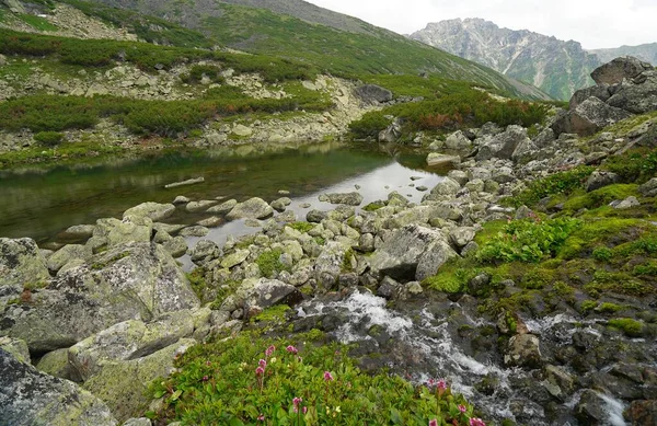 Συναρπαστική Καλοκαιρινή Πεζοπορία Στην Buryatia Ορεινή Λίμνη — Φωτογραφία Αρχείου