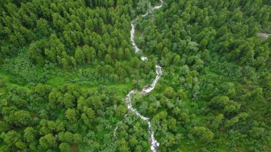 Buryatia 'da büyüleyici yaz yürüyüşü, çiçek vadisindeki dağ nehri.