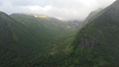 Buryatia 'da büyüleyici yaz yürüyüşü, dağ manzarası