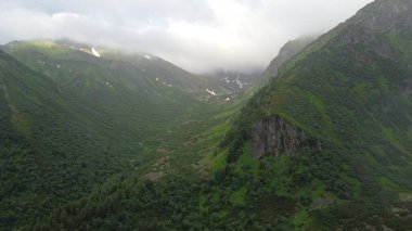 Buryatia 'da büyüleyici yaz yürüyüşü, dağ manzarası