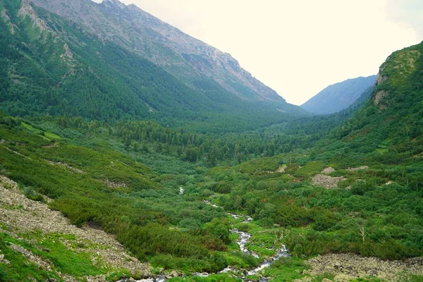 Affascinante Escursione Estiva Buryatia Valle Dei Fiori — Foto Stock