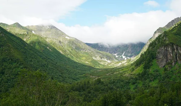 Buryatia Büyüleyici Yaz Yürüyüşü Çiçekler Vadisi — Stok fotoğraf