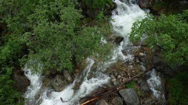 Захватывающий Летний Поход Бурятию Горная Река Долине Цветов — стоковое фото