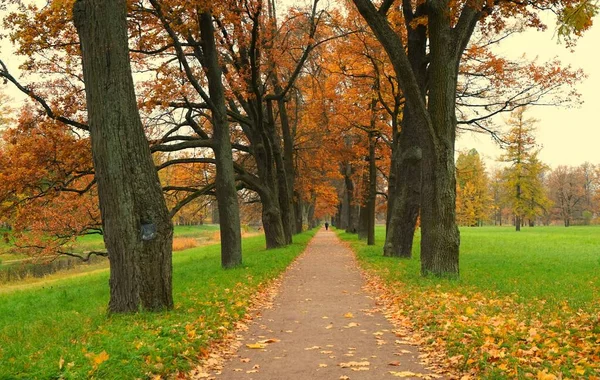 Podzimní Ráno Procházka Catherine Parku Carskoe Selo — Stock fotografie