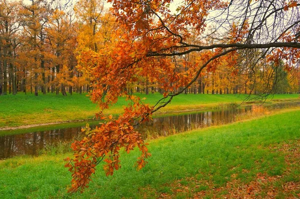 Höstmorgon Och Promenad Catherine Park Tsarskoe Selo — Stockfoto