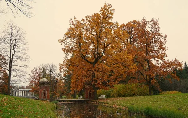 Manhã Outono Passeio Parque Catherine Tsarskoe Selo — Fotografia de Stock