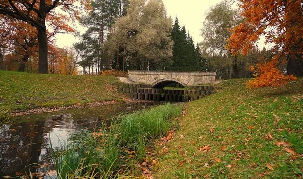 秋の朝とTsarskoe SeloのCatherine Parkでの散歩 — ストック写真