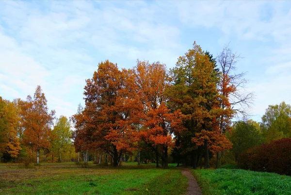 Jasná Pestrá Podzimní Krajina Babolovském Parku Carskoe Selo — Stock fotografie