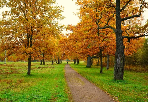 Paisaje Otoñal Brillante Colorido Parque Babolovsky Tsarskoe Selo — Foto de Stock