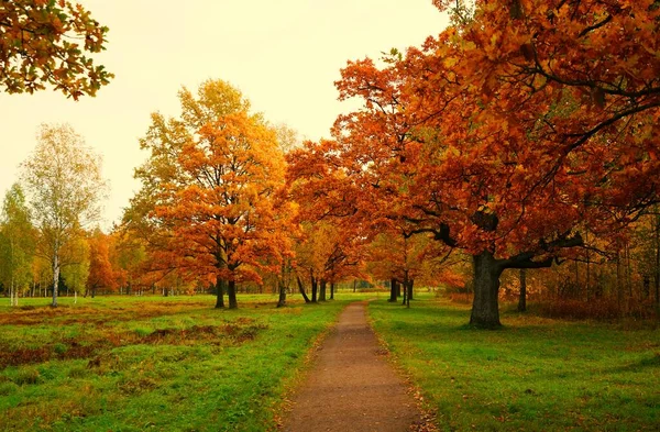 Helle Und Farbenfrohe Herbstlandschaft Babolovsky Park Zarskoje Selo — Stockfoto