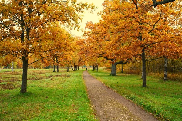 Paisaje Otoñal Brillante Colorido Parque Babolovsky Tsarskoe Selo — Foto de Stock