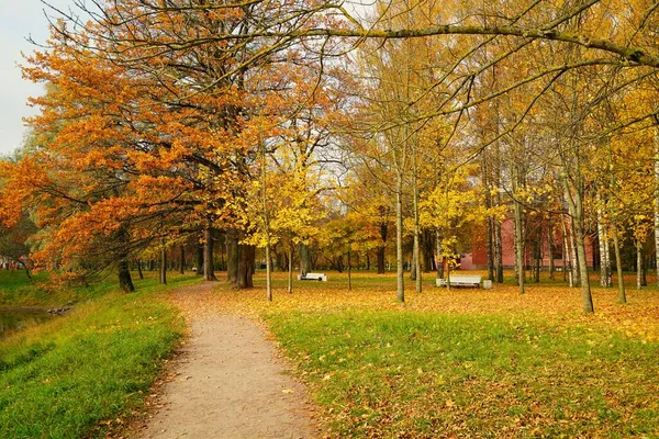 Pavlovsk Taki Şehir Parkında Parlak Renkli Sonbahar Manzarası — Stok fotoğraf