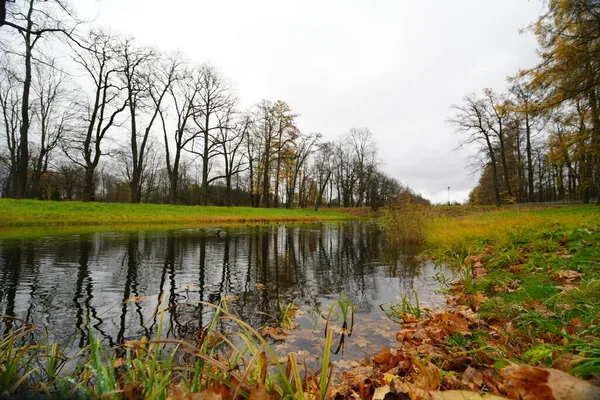 Mañana Otoño Paseo Por Parque Catherine Tsarskoe Selo —  Fotos de Stock