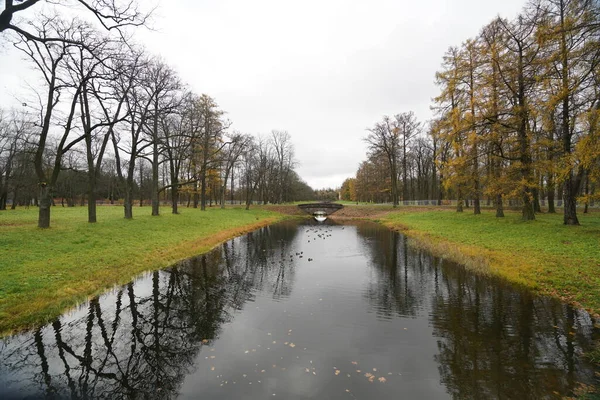 Mañana Otoño Paseo Por Parque Catherine Tsarskoe Selo —  Fotos de Stock