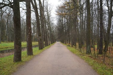 Sonbahar sabahı ve Tsarskoe Selo 'daki Catherine Park' ta yürüyüş.