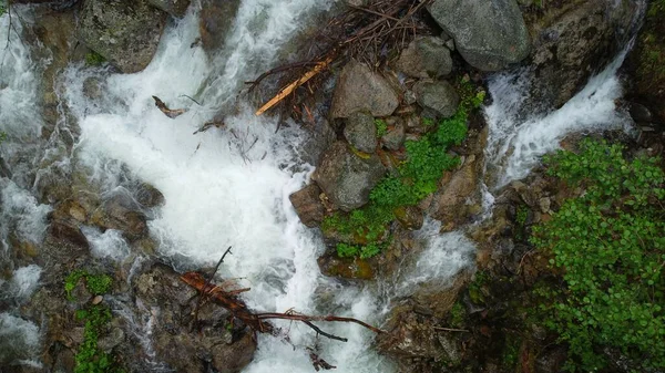 Захоплива Літня Подорож Бурятії Гірська Річка Долині Квітів — стокове фото