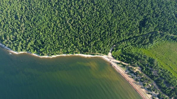 Sommerlandschaft Morgen Ufer Des Baikals Nahe Der Halbinsel Swjatoj Nos — Stockfoto