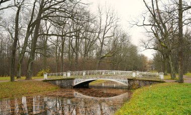 Yağmurlu bir Ekim sabahı ve Tsarskoe Selo 'daki Alexander Park' ta yürüyüş.