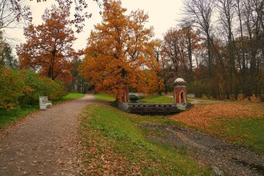 Sonbahar sabahı ve Tsarskoe Selo 'daki Catherine Park' ta yürüyüş.