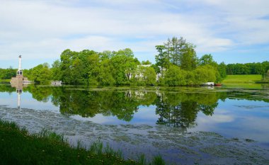 Yaz güneşli bir sabah ve Catherine Park 'taki Big Pond' da yürüyüş.