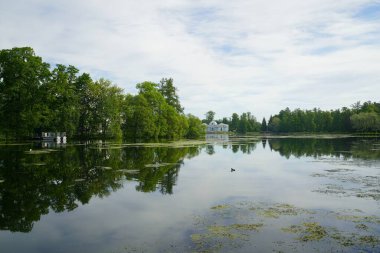Yaz güneşli bir sabah ve Catherine Park 'taki Big Pond' da yürüyüş.