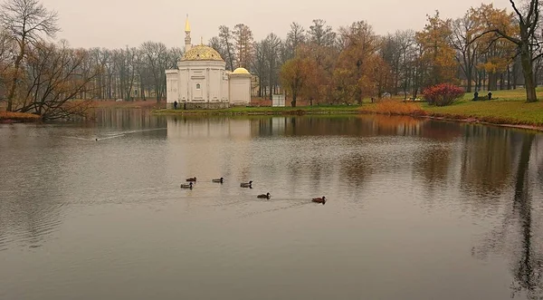 Мрачное Осеннее Утро Парке Екатерины Царском Селе — стоковое фото