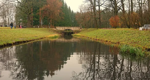Gloomy Höst Morgon Catherine Park Tsarskoe Selo — Stockfoto