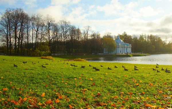 Jesienny Poranek Spacer Catherine Park Carskim Selo — Zdjęcie stockowe